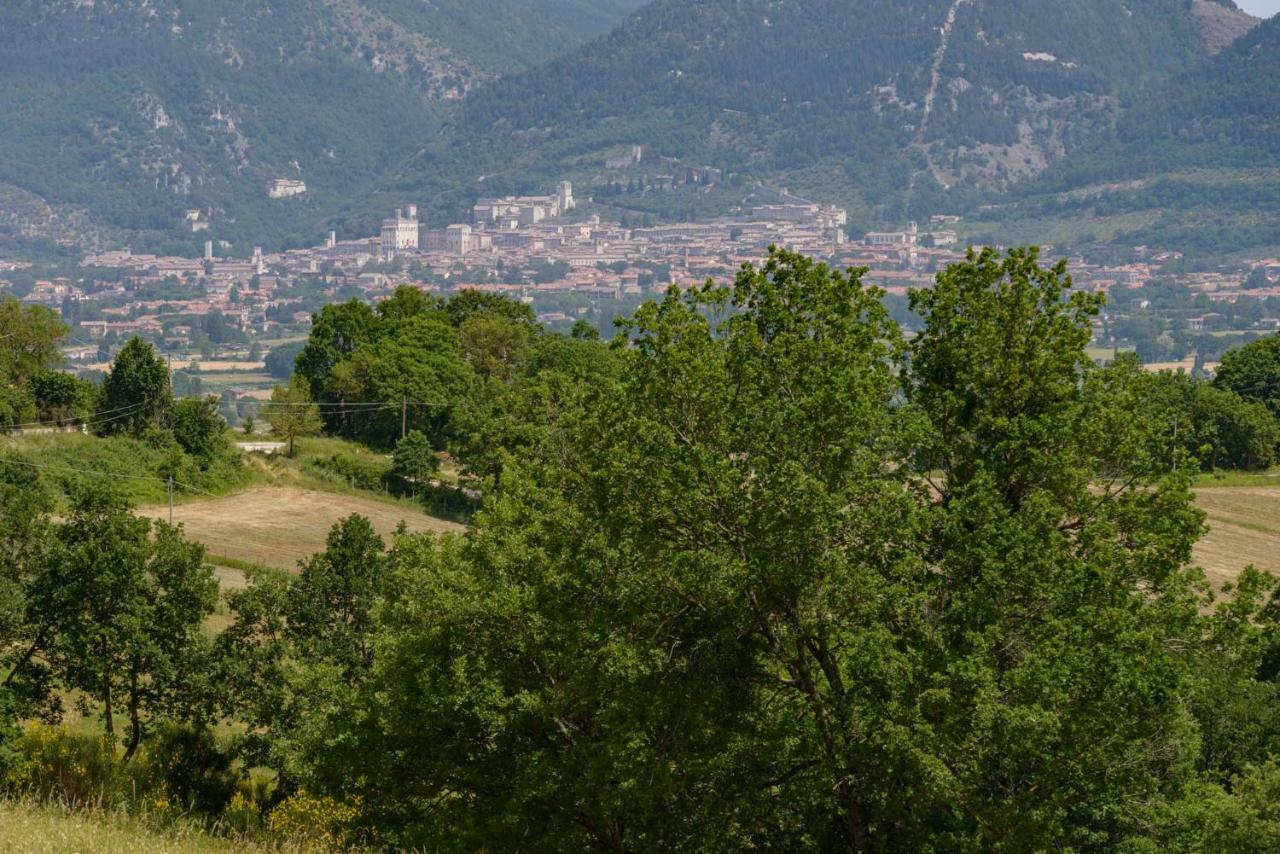 Casa Vacanze San Vittorino غوبيو المظهر الخارجي الصورة